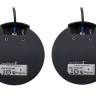 Polycom SoundStation 2 EX Mic Pods — комплект из 2-х дополнительных микрофонов для Polycom SoundStation2 EX, Avaya 2490
