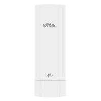 Wi-Tek WI-LTE110-O V2