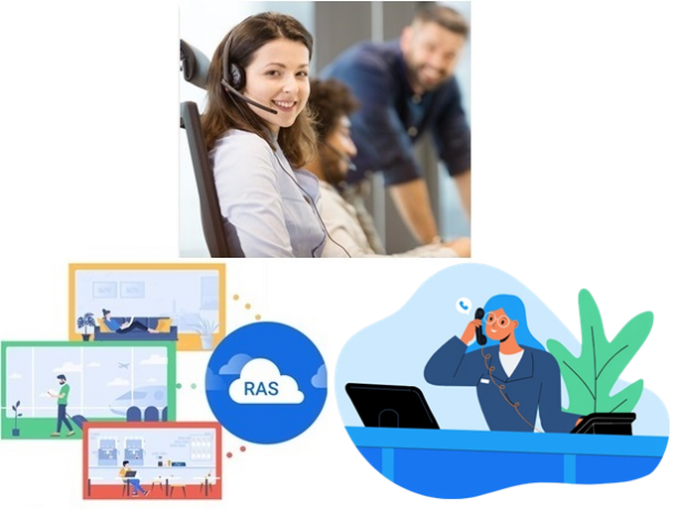 P550 Standard License